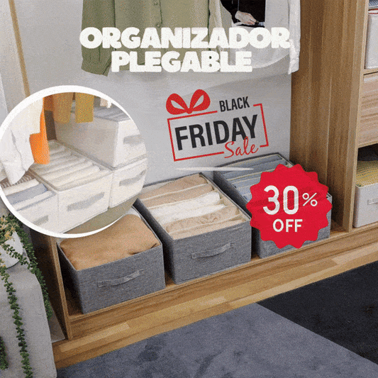 2x ORGANIZADOR PLEGABLE 9 COMPARTIMENTOS